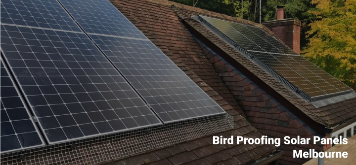 Bird Proofing Solar Panels Melbourne