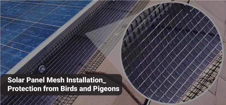 Solar Panel Mesh Installation: Protection from Birds and pigeon